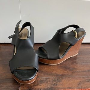 Black American Eagle Wedges